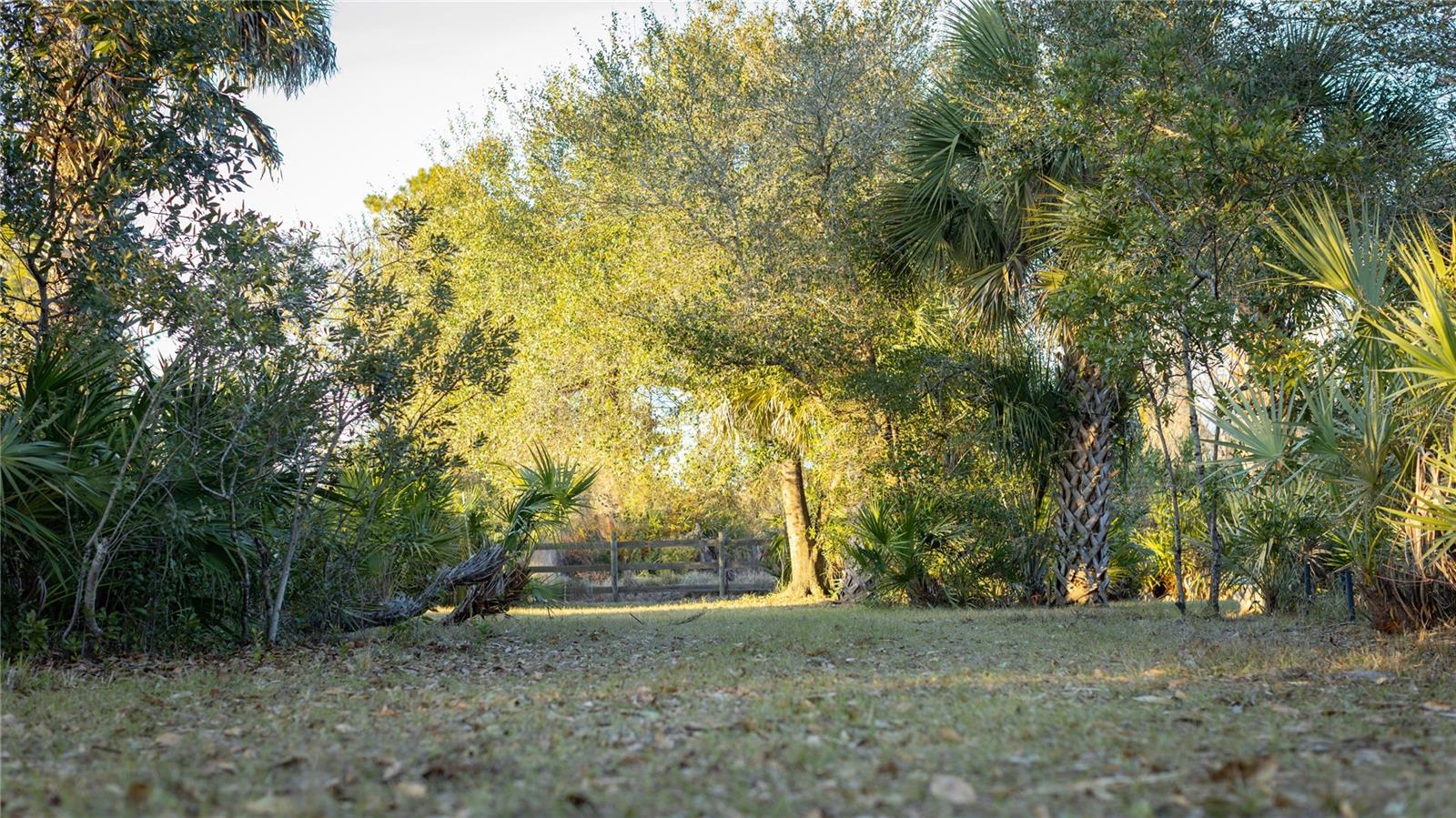 Image 20 of 50 For 32801 Hwy 441 N 250