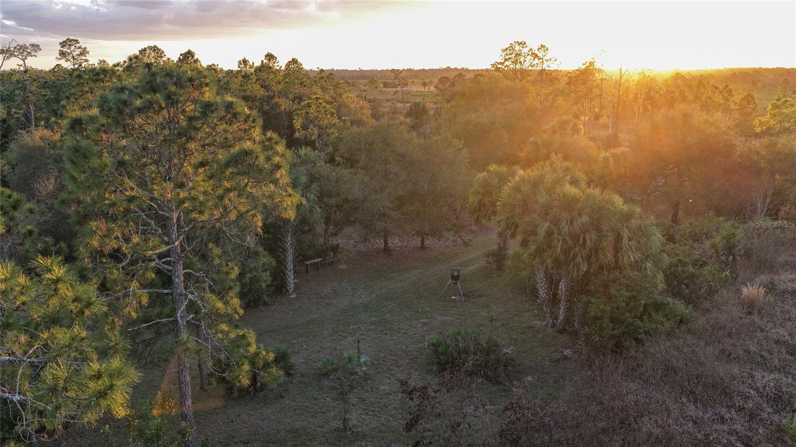 Image 22 of 50 For 32801 Hwy 441 N 250