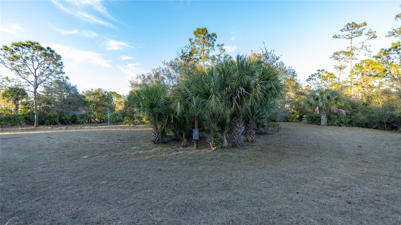 Image 23 of 50 For 32801 Hwy 441 N 250