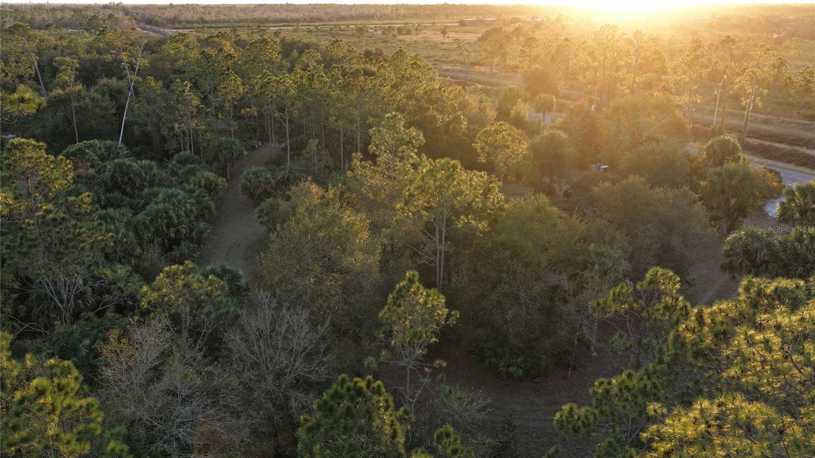 Image 24 of 50 For 32801 Hwy 441 N 250