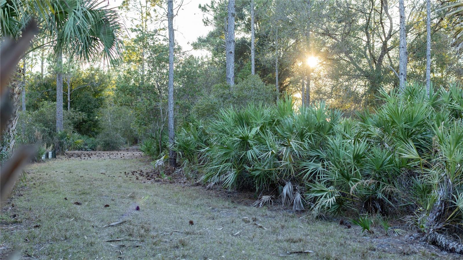 Image 4 of 50 For 32801 Hwy 441 N 250