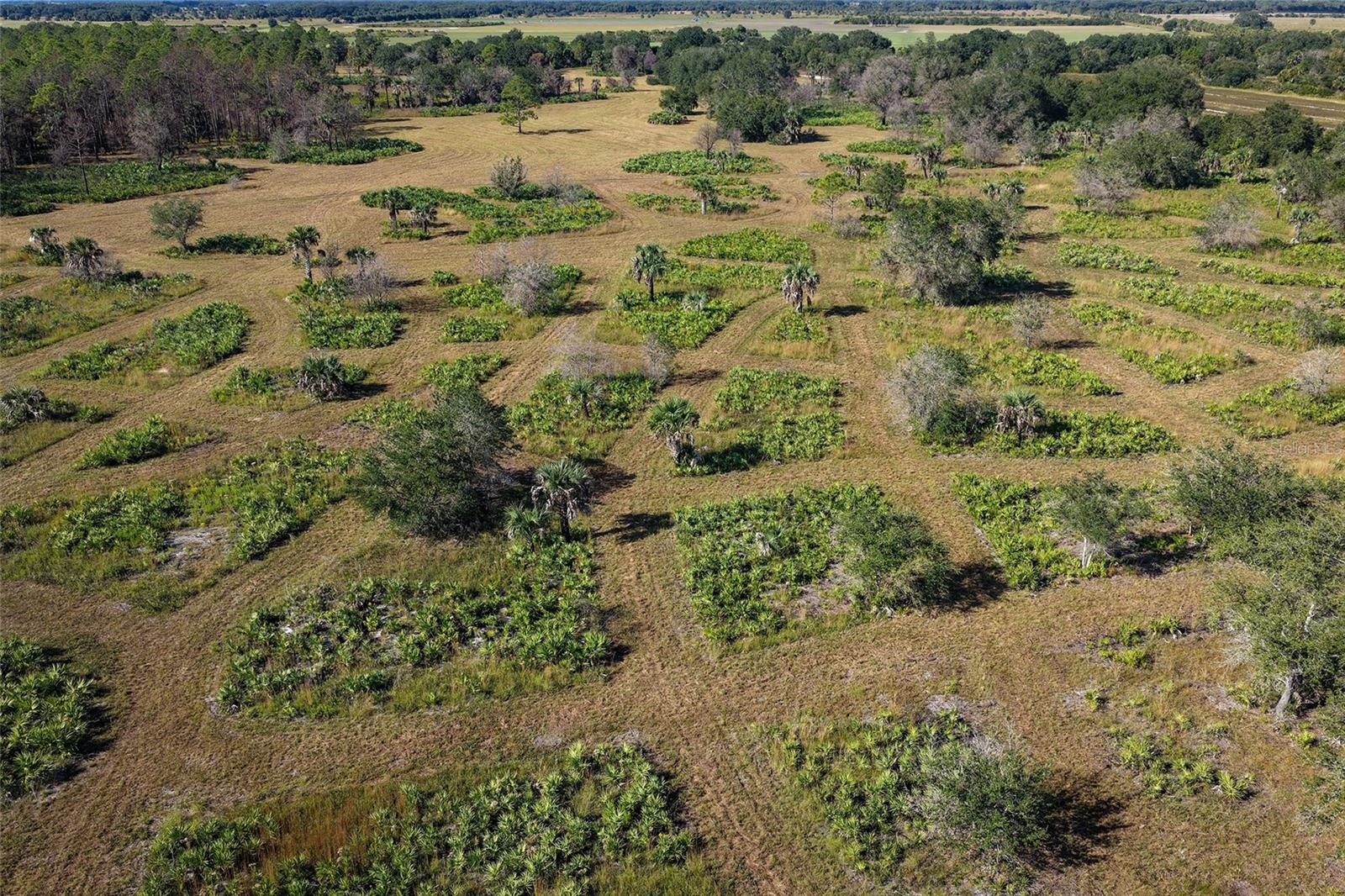 Image 47 of 50 For 32801 Hwy 441 N 250