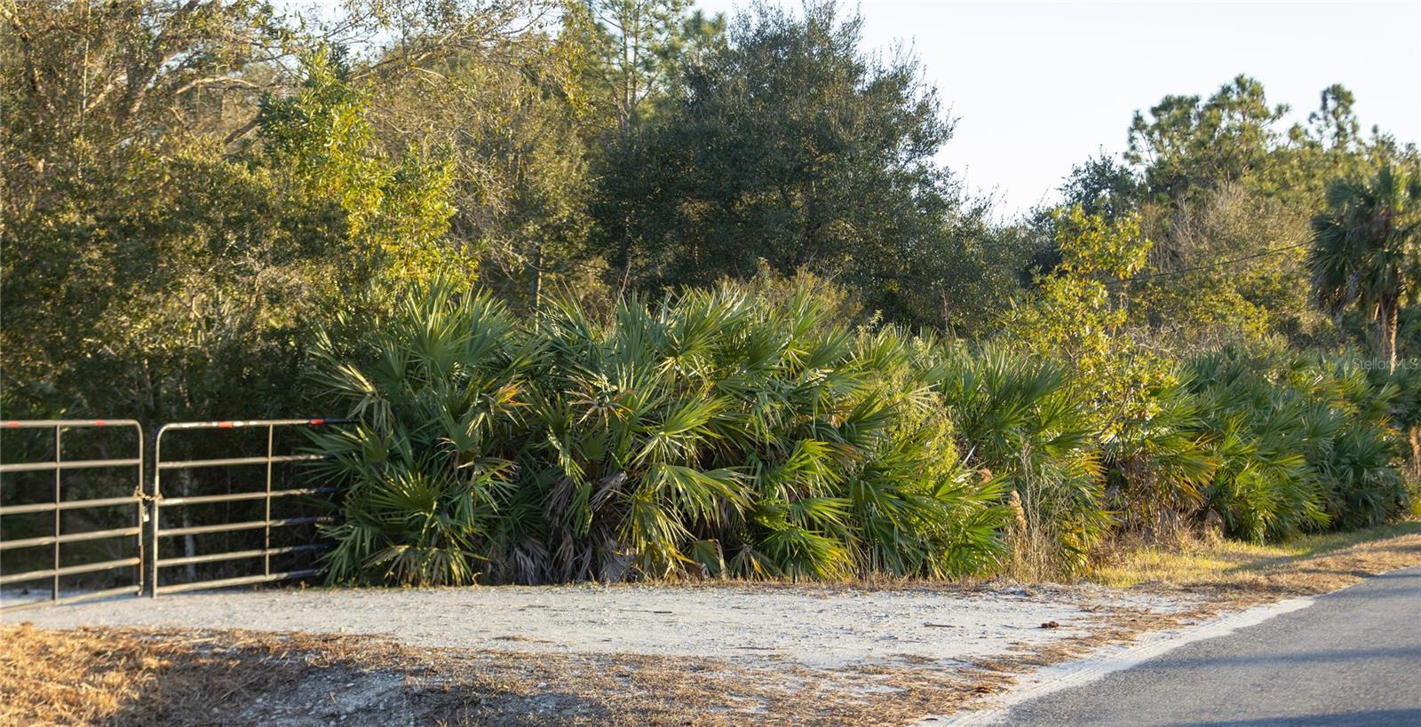 Image 5 of 50 For 32801 Hwy 441 N 250