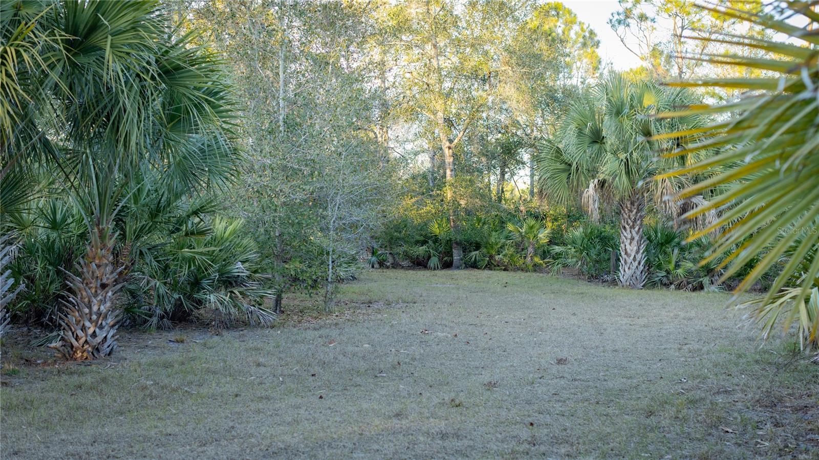 Image 6 of 50 For 32801 Hwy 441 N 250