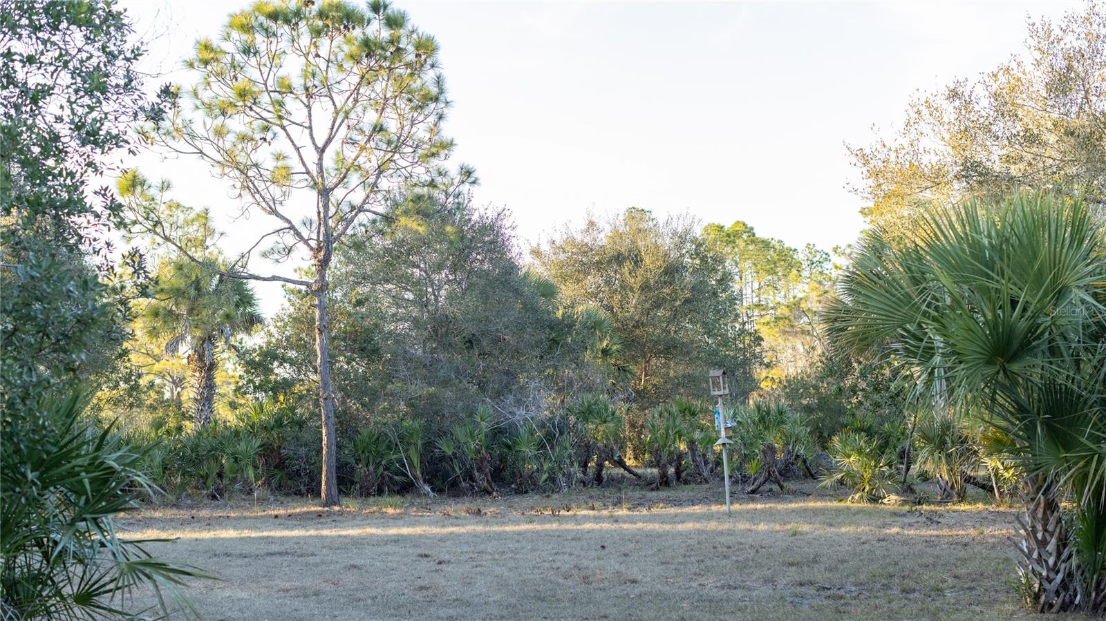 Image 8 of 50 For 32801 Hwy 441 N 250