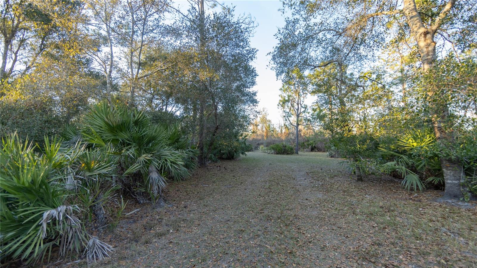 Image 9 of 50 For 32801 Hwy 441 N 250