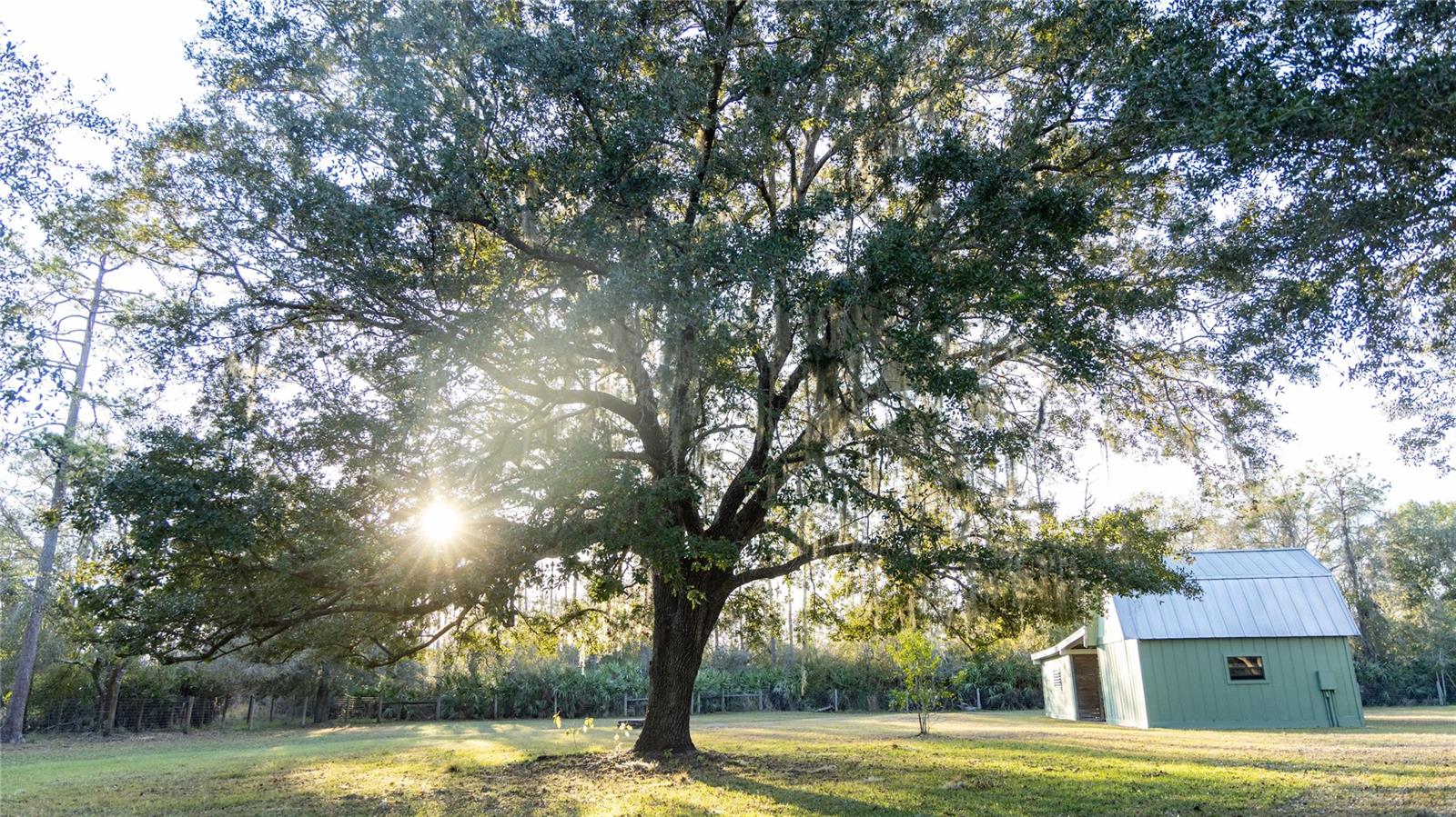 Image 22 of 78 For 32801 Hwy 441 N 10