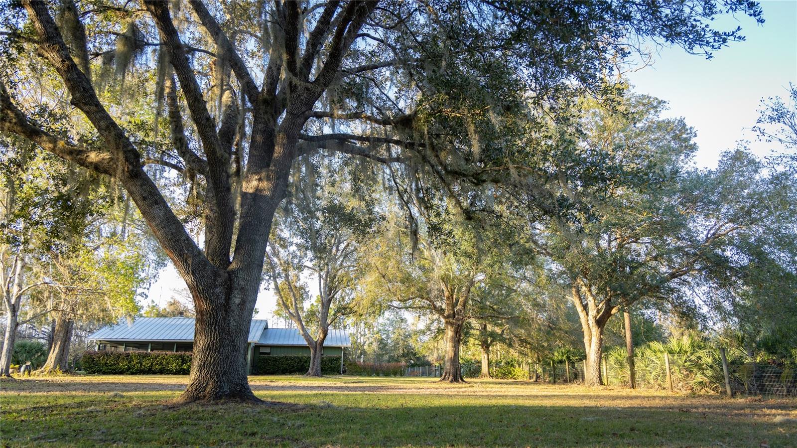 Image 51 of 78 For 32801 Hwy 441 N 10