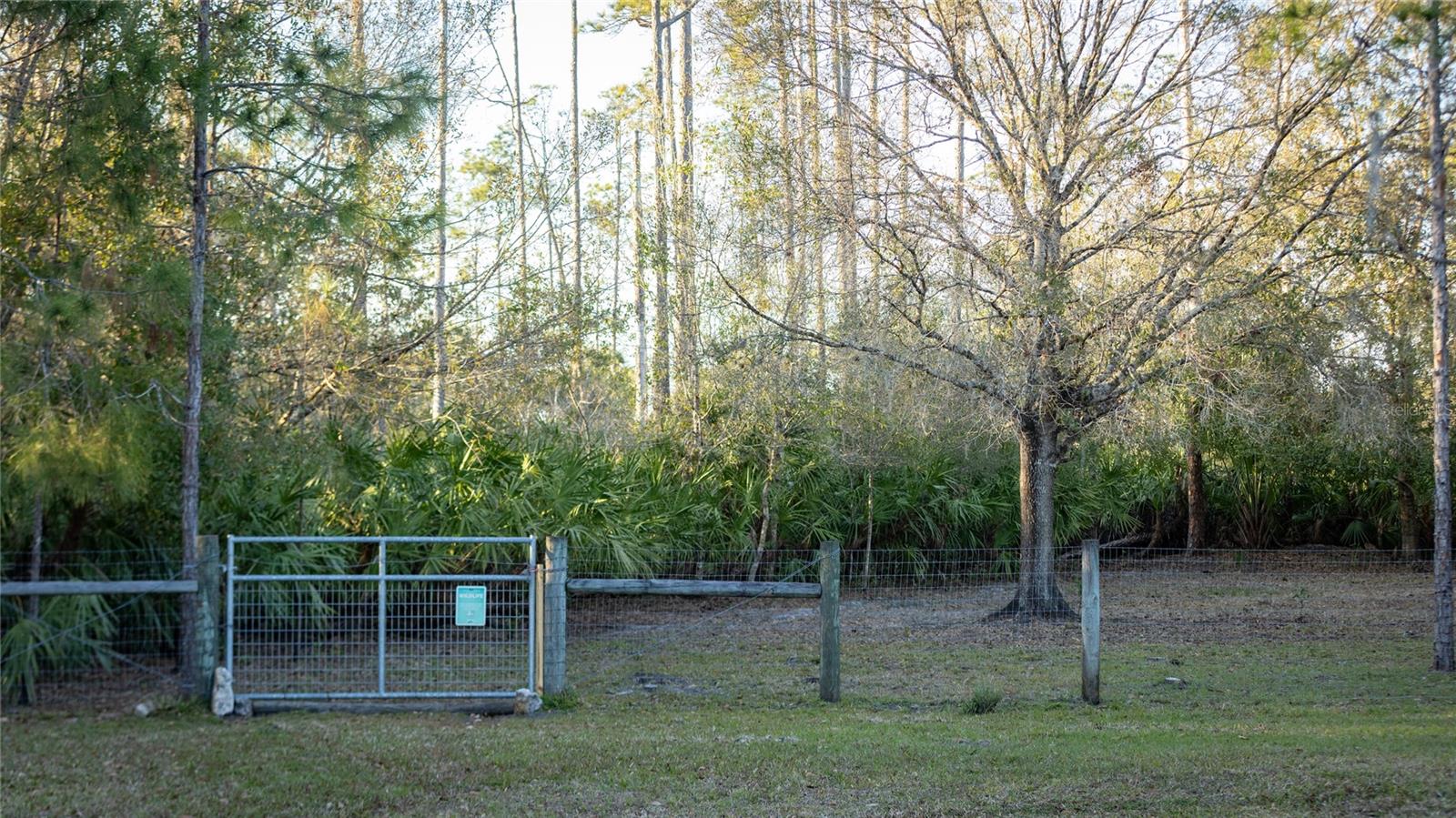 Image 56 of 78 For 32801 Hwy 441 N 10