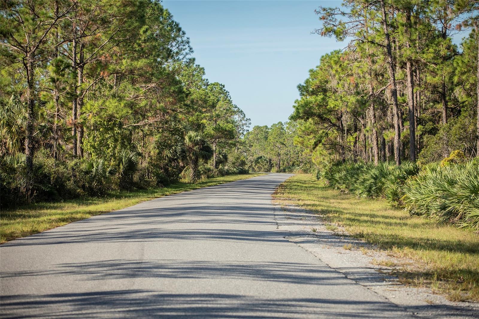 Image 62 of 78 For 32801 Hwy 441 N 10