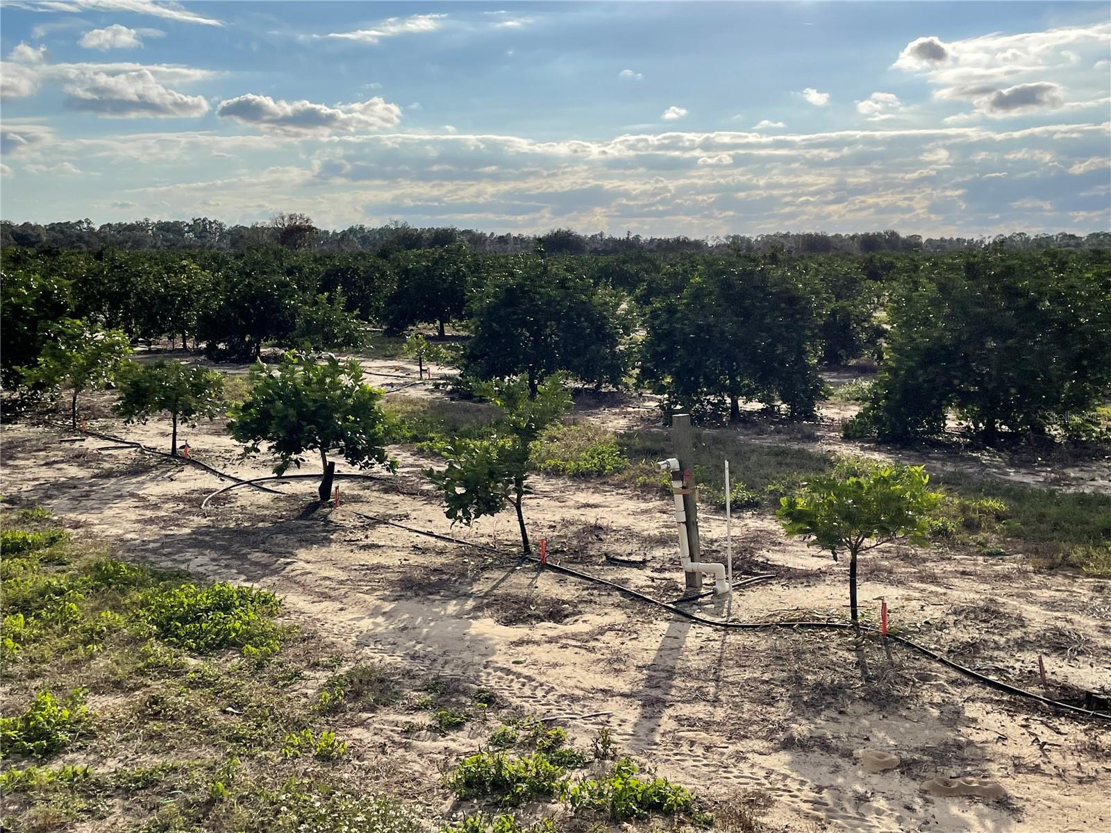 Image 11 of 40 For Lawrence Stewart Road