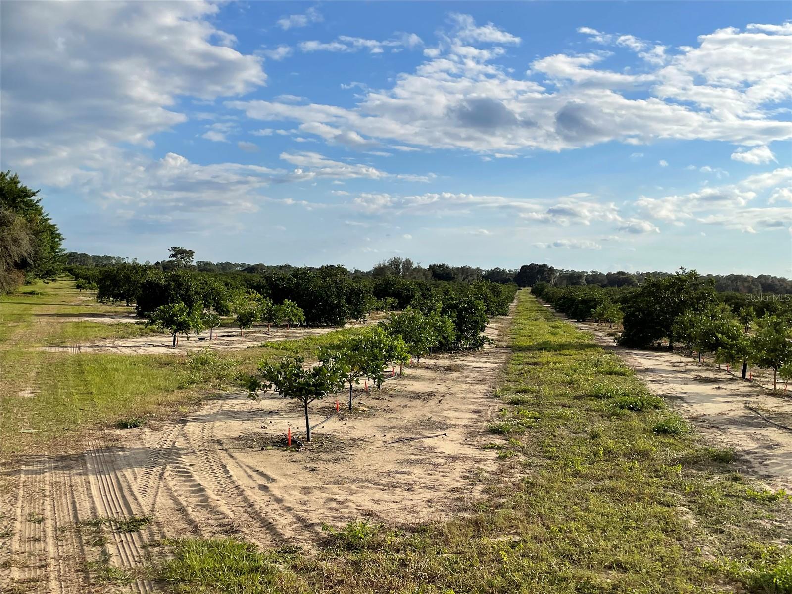 Image 12 of 40 For Lawrence Stewart Road