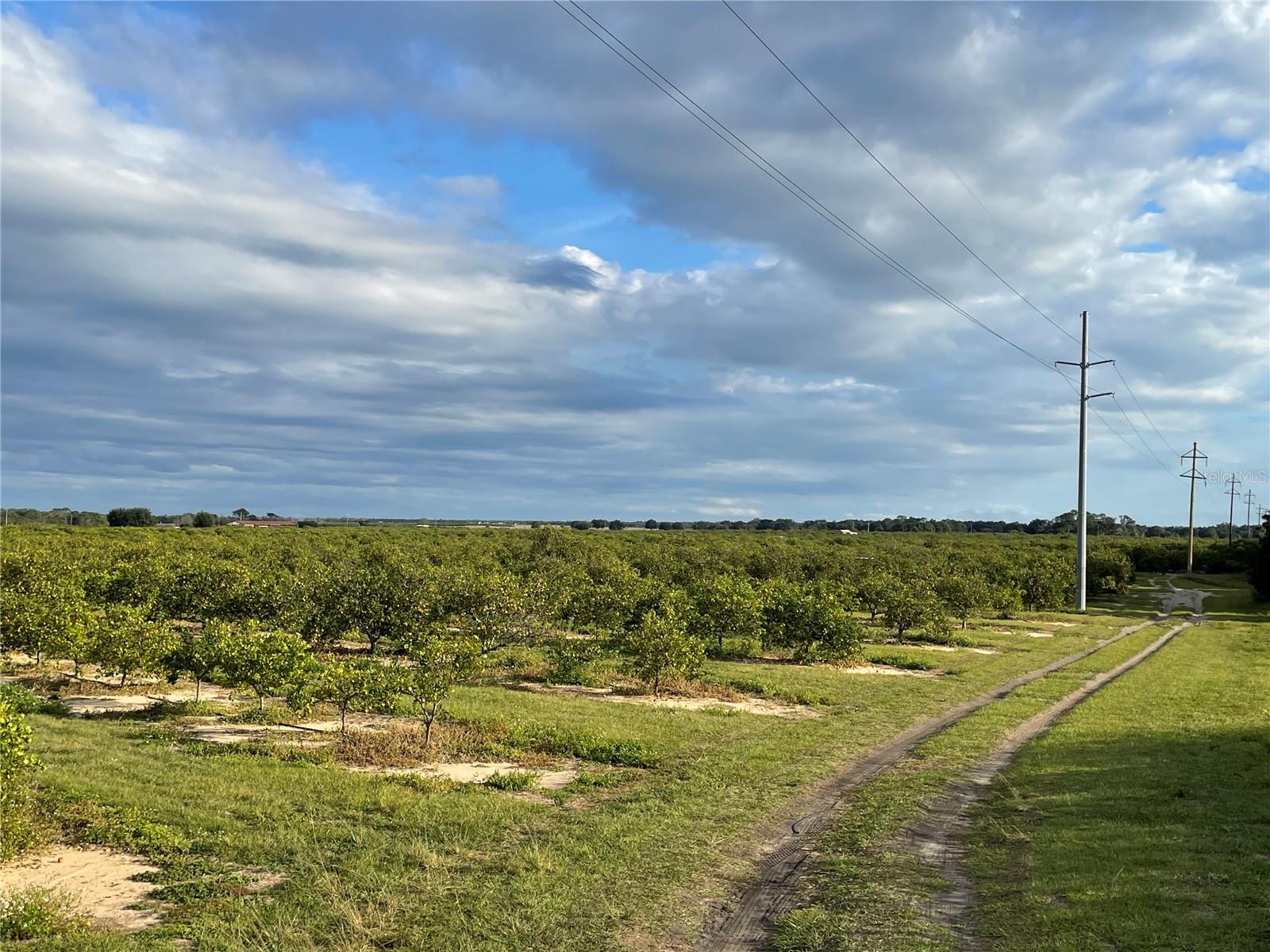 Image 23 of 40 For Lawrence Stewart Road