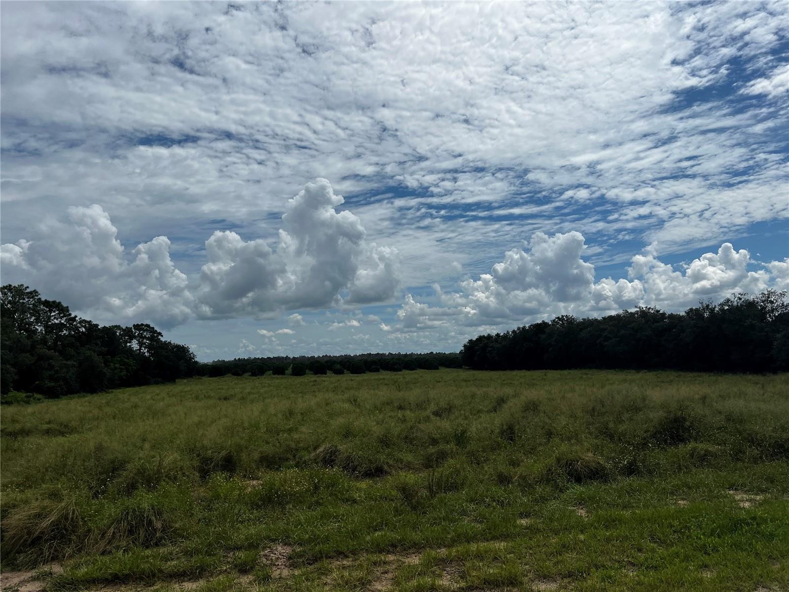 Details for  Sils Road , LAKE WALES, FL 33898