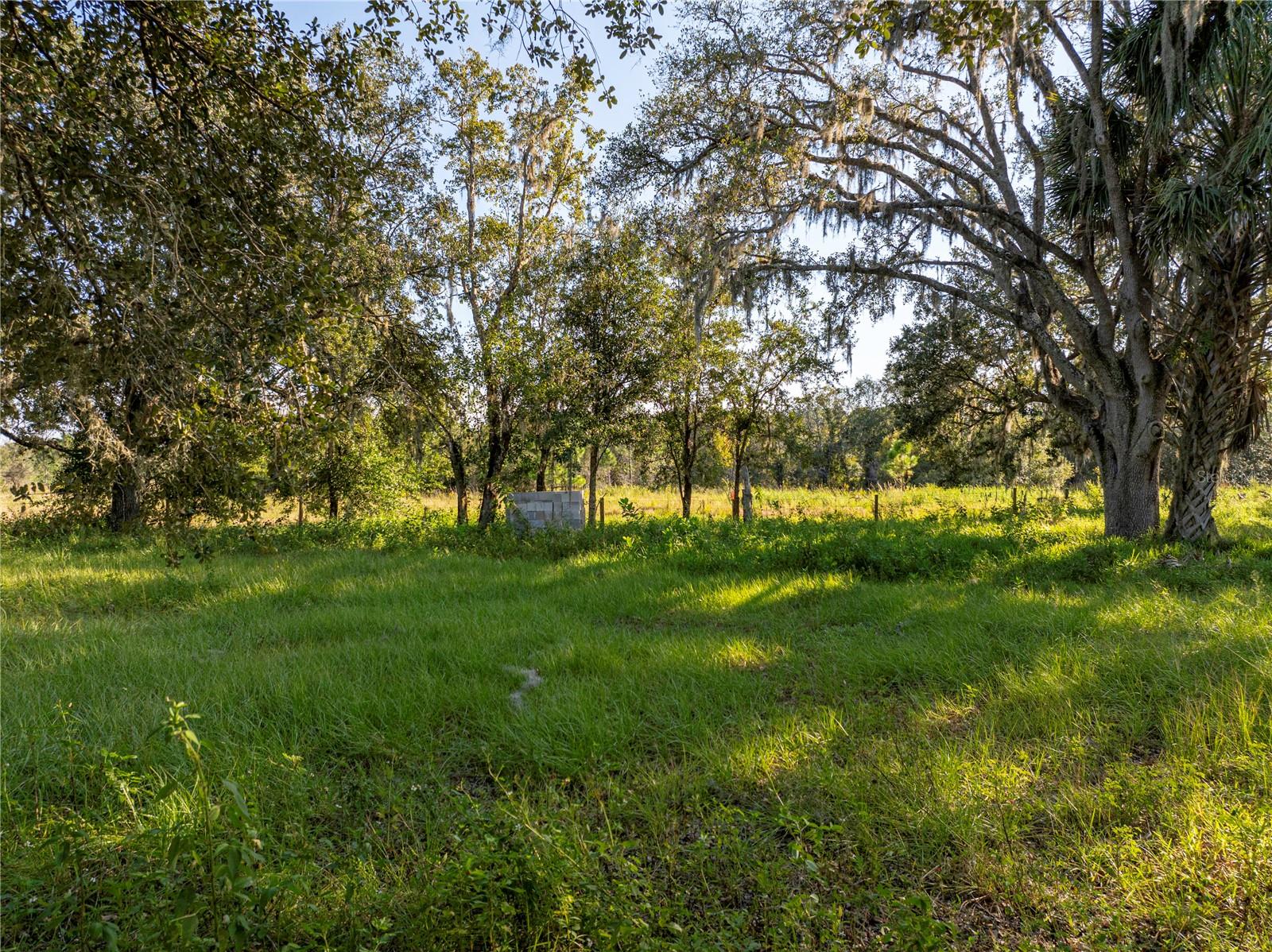 Image 15 of 22 For Lake Hatchineha Road