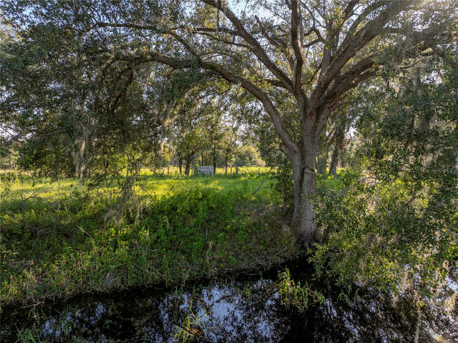 Image 19 of 22 For Lake Hatchineha Road