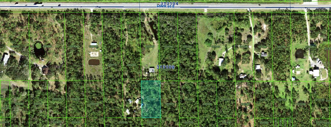 Details for 0 River Ranch, LAKE WALES, FL 33898