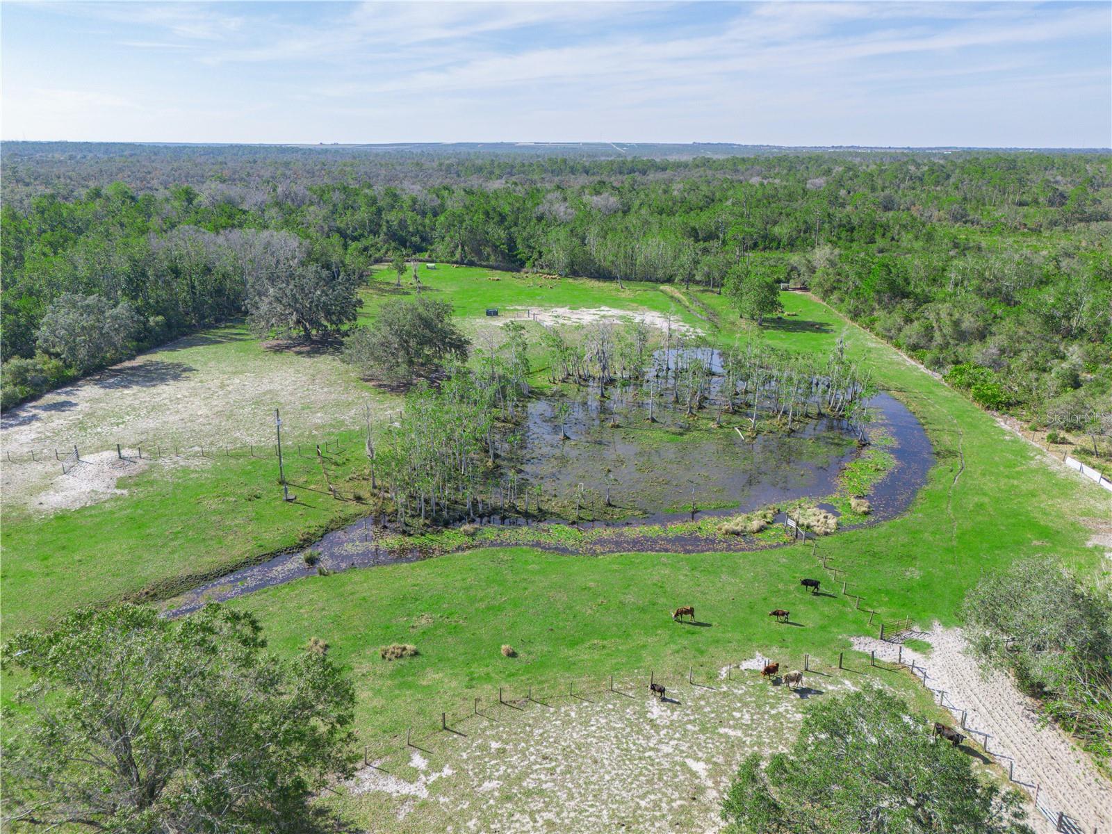 Image 83 of 88 For  Jewell Lane 