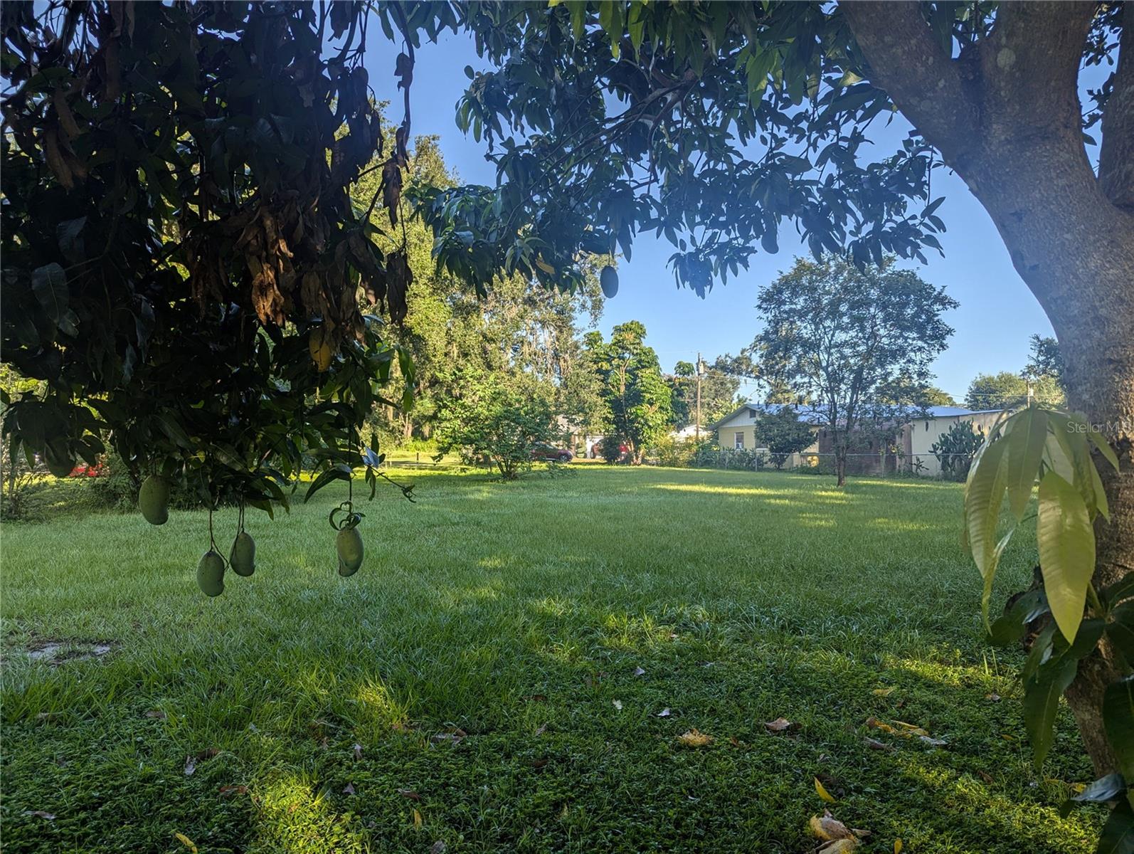 Image 5 of 11 For 0 Perry Avenue
