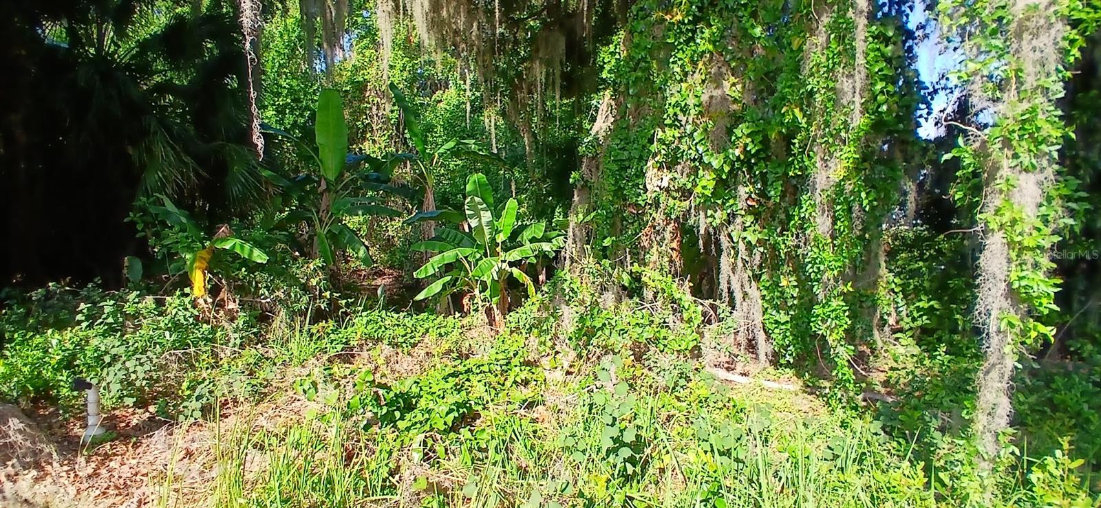 Image 54 of 61 For 5033 Lake Pierce Drive