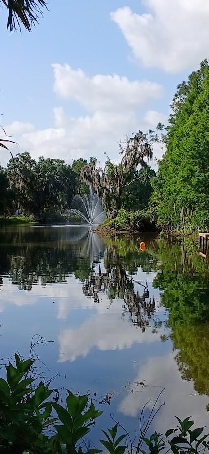 Image 55 of 61 For 5033 Lake Pierce Drive