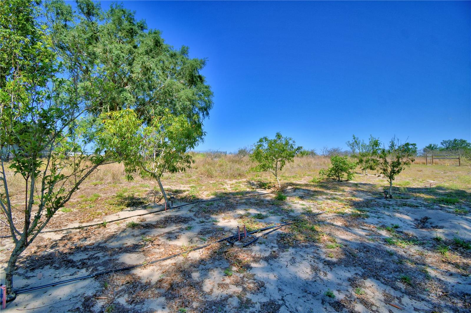 Image 57 of 61 For 509 Scenic Highway