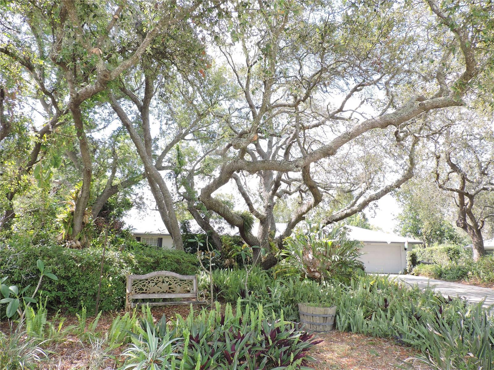 Image 4 of 47 For 882 Redwood Way