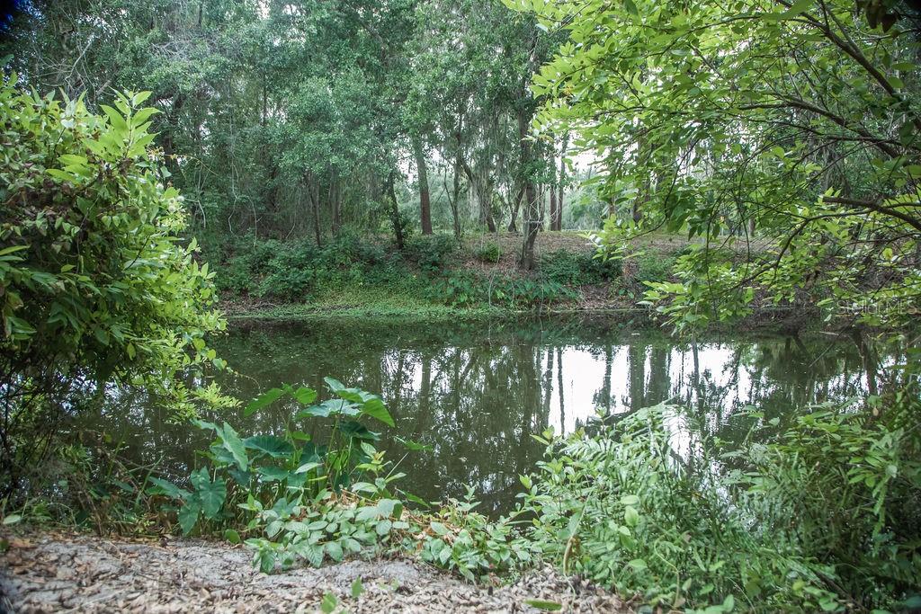 Image 35 of 54 For 4725 Kayworth Road