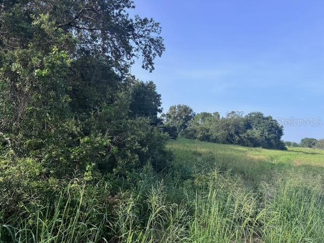 Image 6 of 8 For 7710 Lake Buffum Road