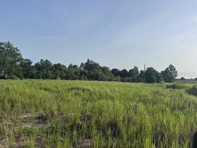 Image 7 of 8 For 7710 Lake Buffum Road