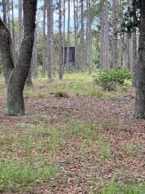 Image 21 of 22 For 1885 Pfundstein Road