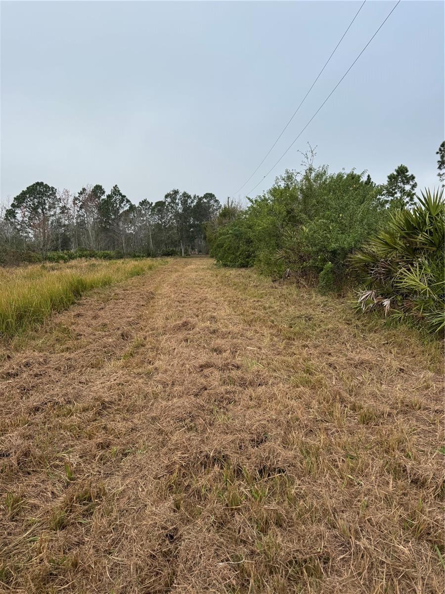 Image 2 of 5 For Frostproof Road