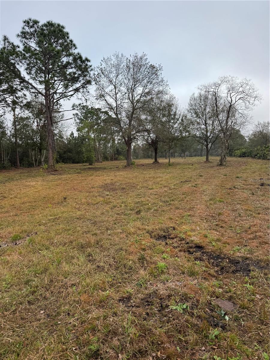 Image 4 of 5 For Frostproof Road