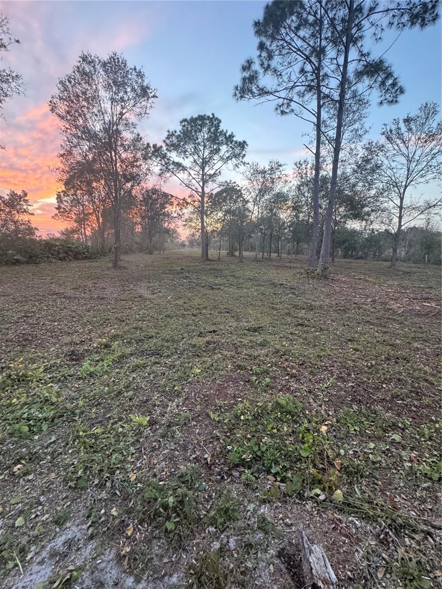 Image 5 of 5 For Frostproof Road