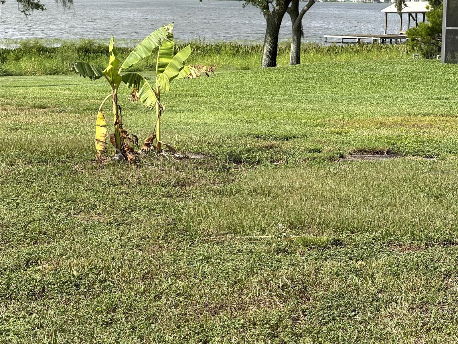 Image 32 of 44 For 823 Lake Reedy Boulevard