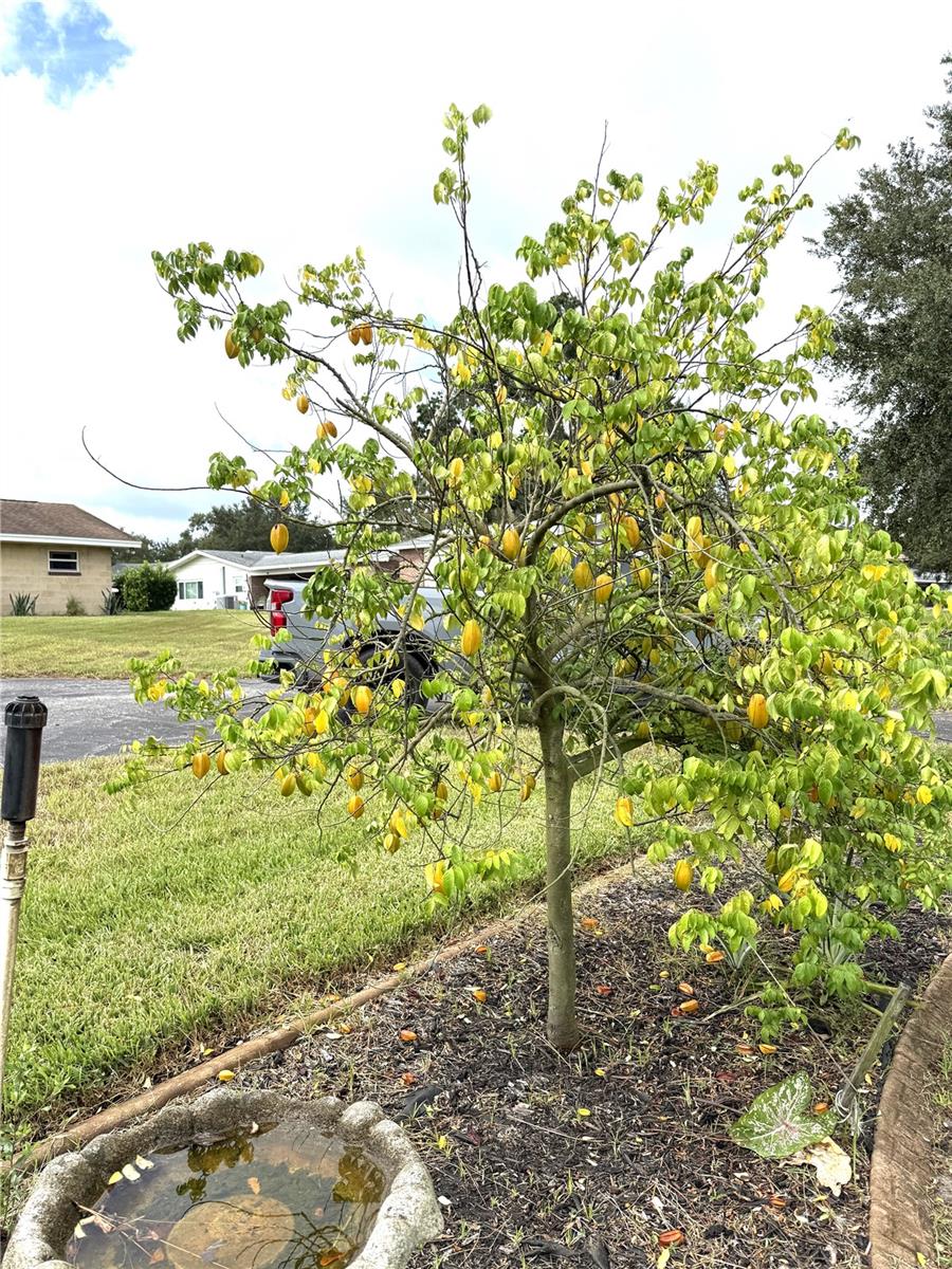Image 36 of 44 For 823 Lake Reedy Boulevard
