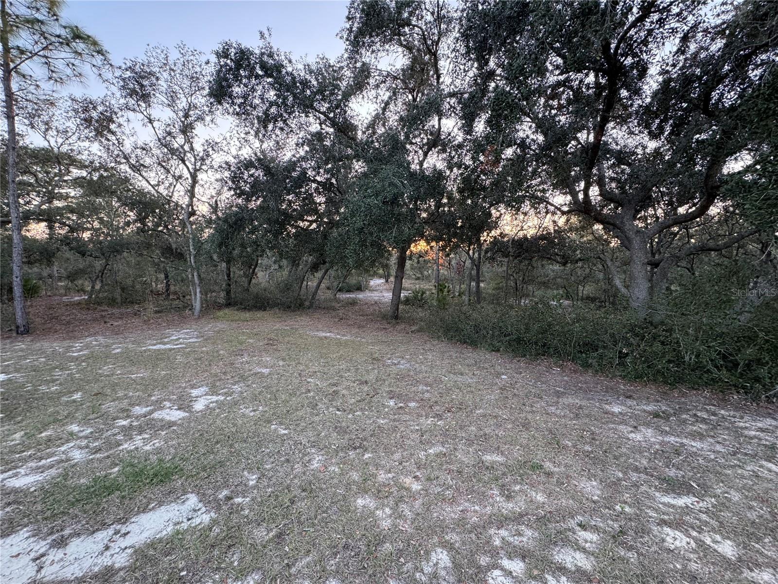 Image 46 of 54 For 2134 R E Byrd Road
