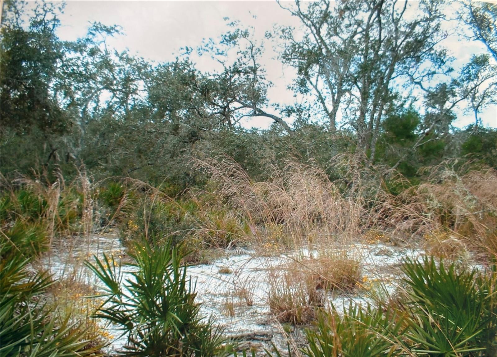 Image 6 of 6 For 2912 Sand Pine Trail