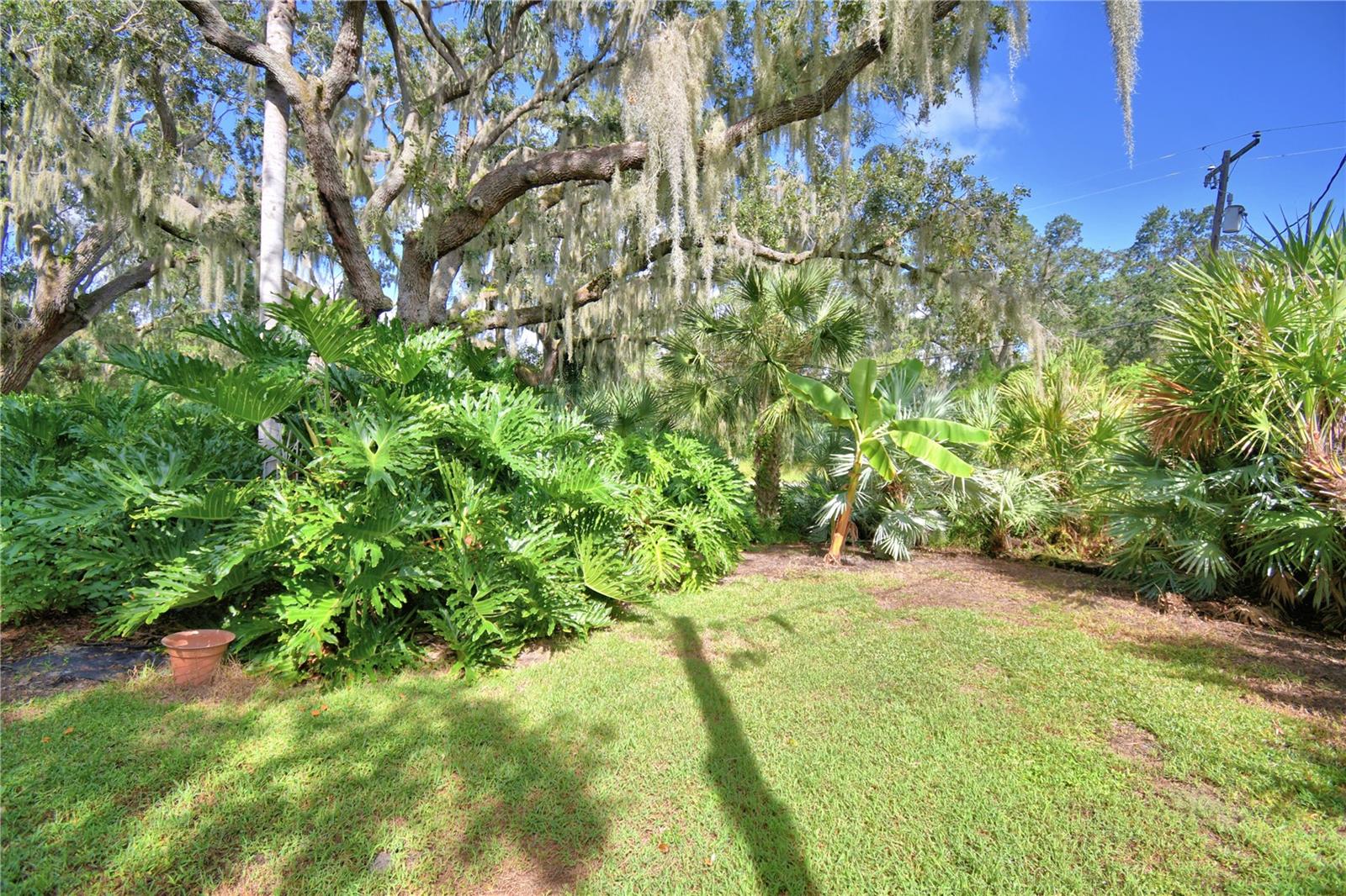 Image 18 of 83 For 733 Lake Reedy Boulevard