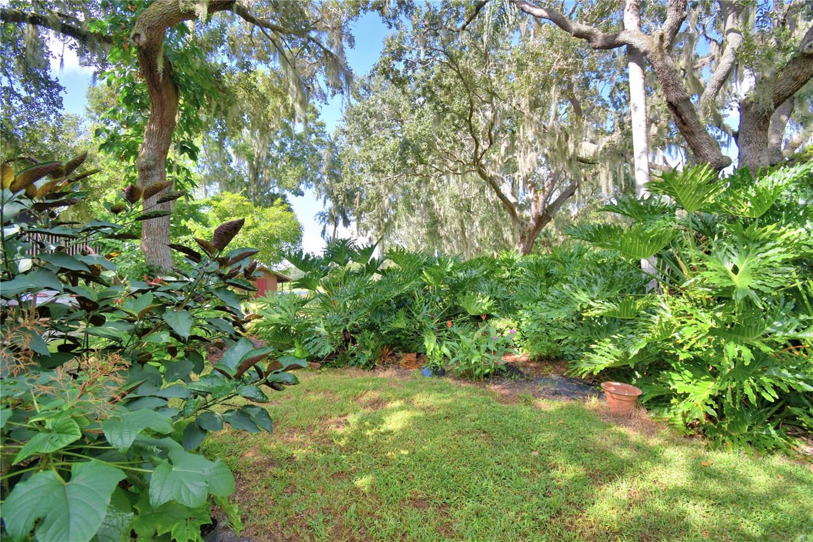Image 70 of 83 For 733 Lake Reedy Boulevard