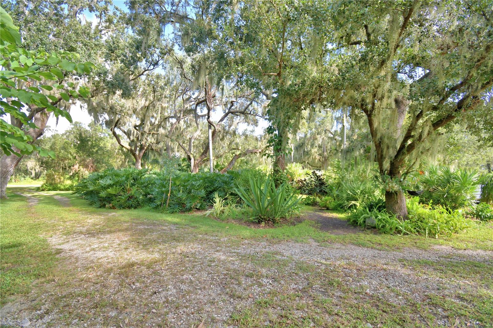 Image 75 of 83 For 733 Lake Reedy Boulevard