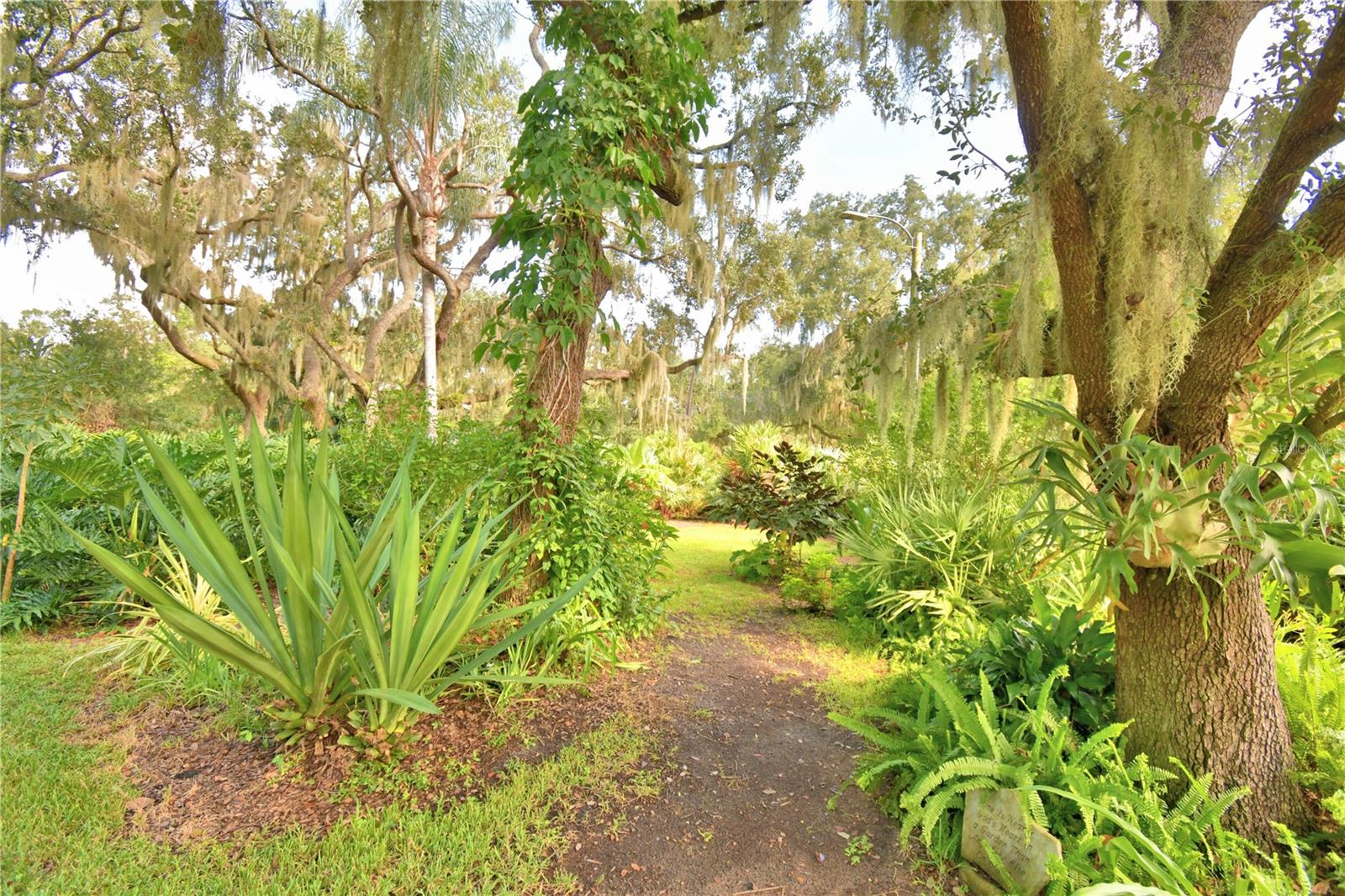 Image 76 of 83 For 733 Lake Reedy Boulevard