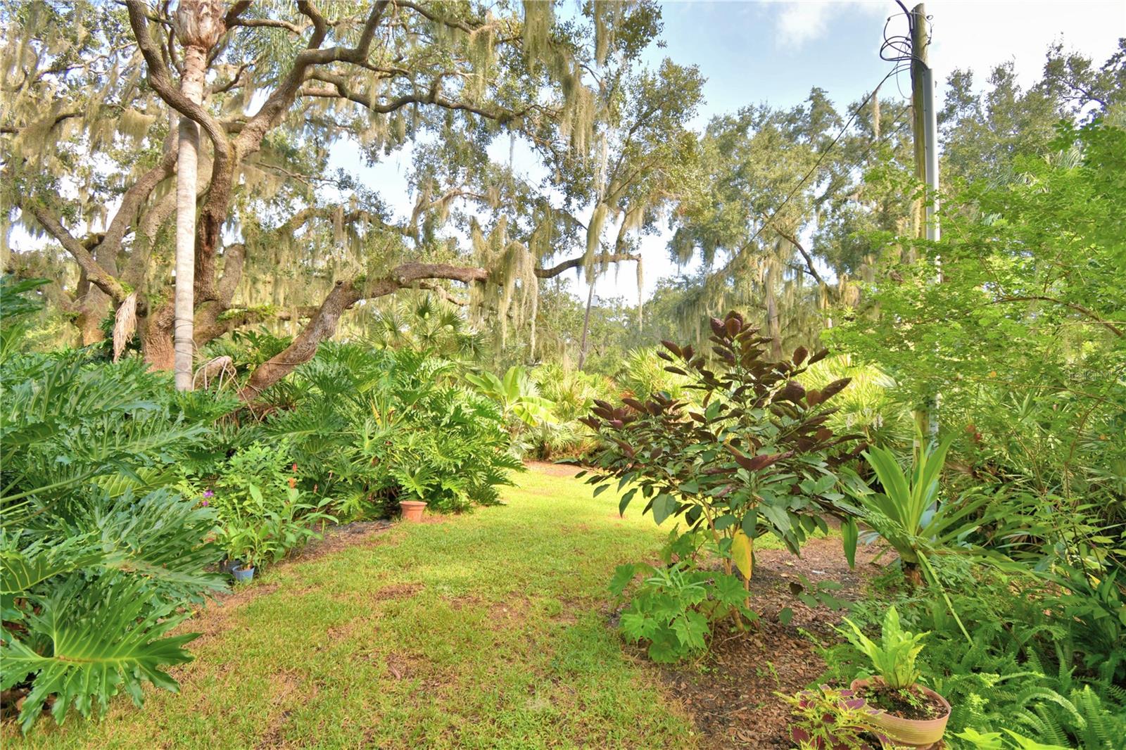 Image 77 of 83 For 733 Lake Reedy Boulevard