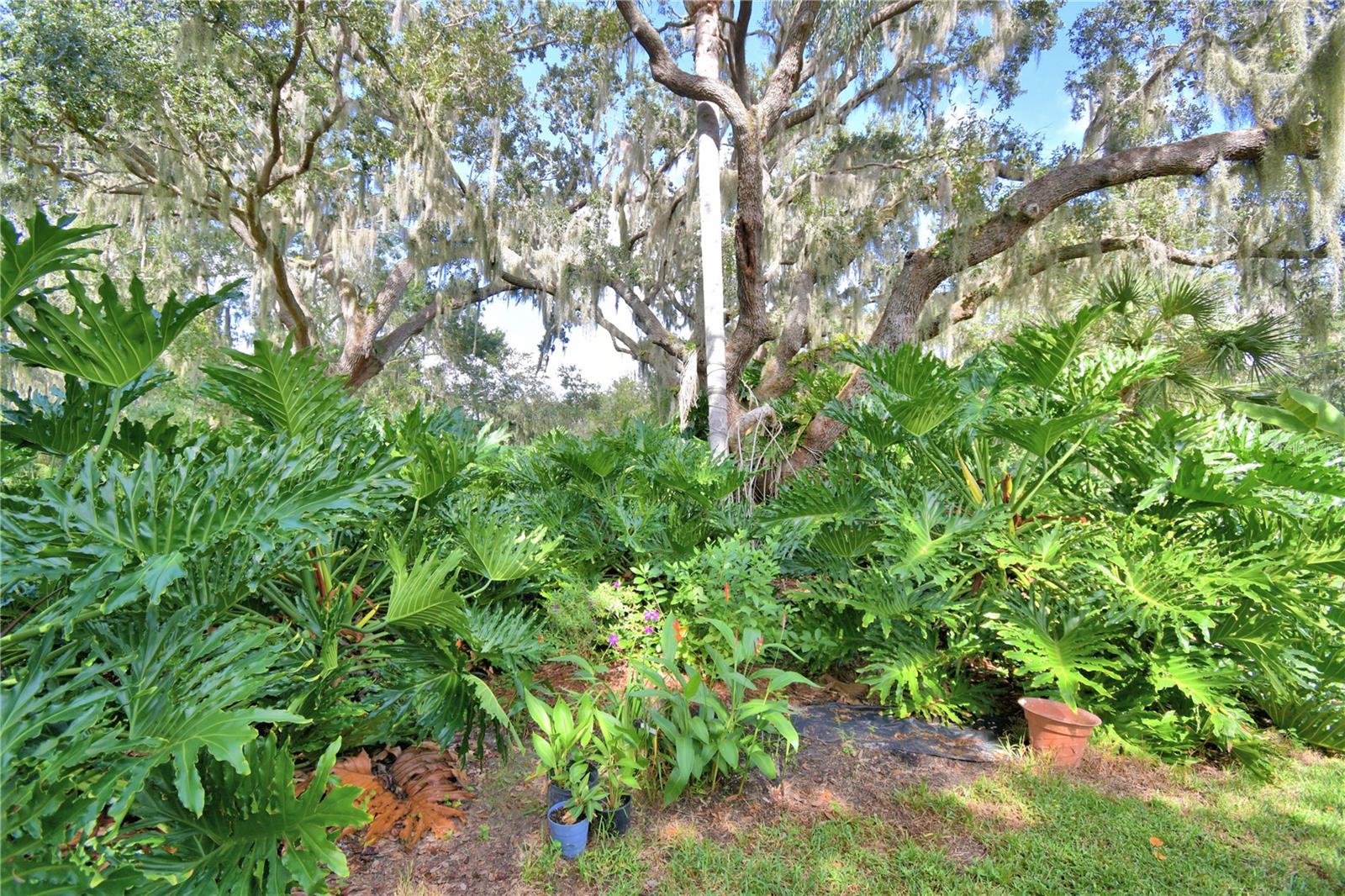 Image 78 of 83 For 733 Lake Reedy Boulevard