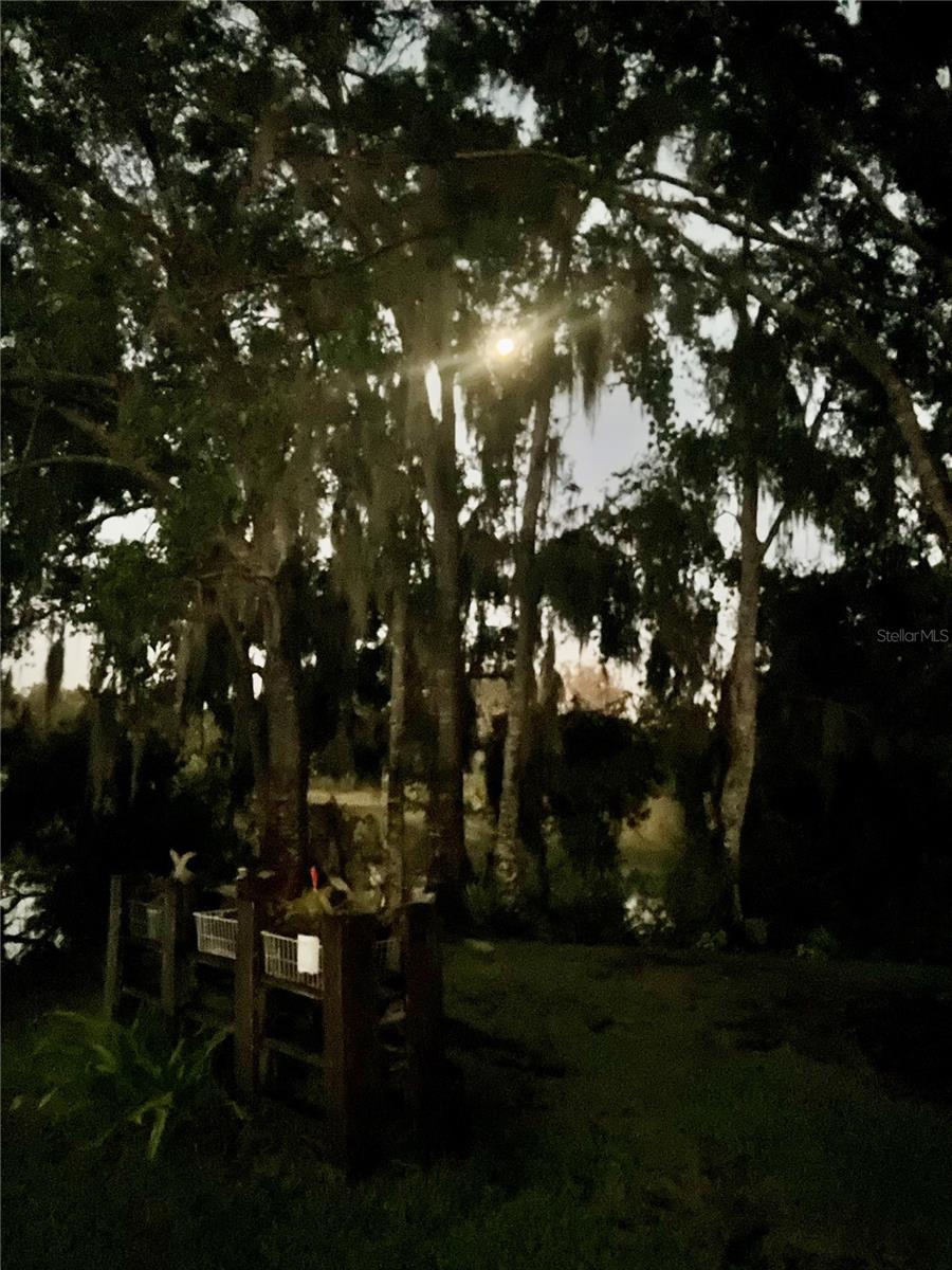 Image 80 of 83 For 733 Lake Reedy Boulevard
