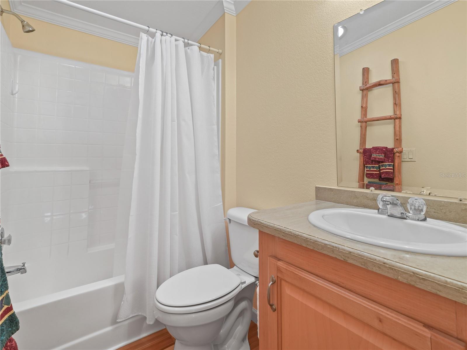 Image 12 of 36 For 8 Night Owl Circle