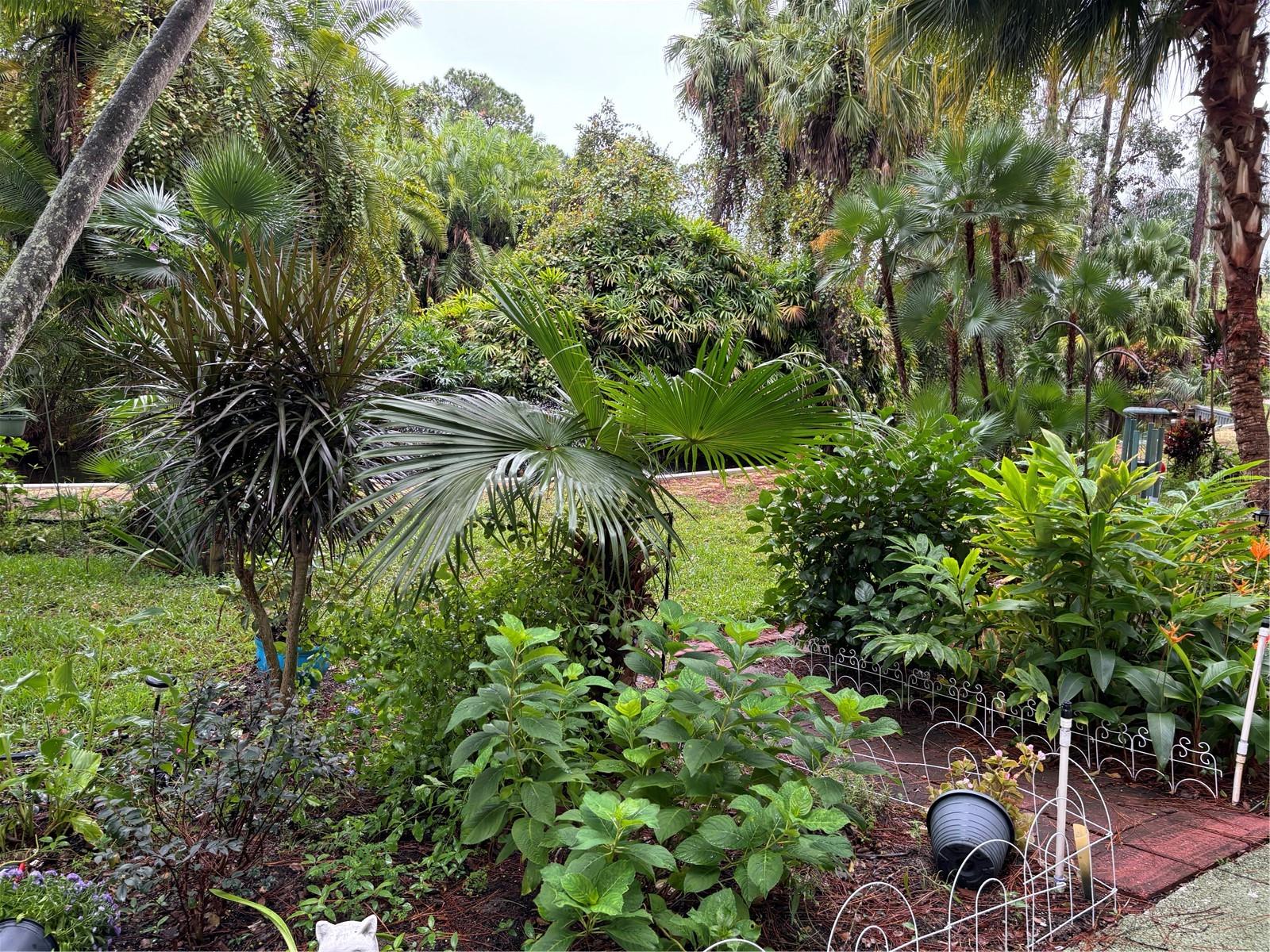 Image 26 of 28 For 200 El Camino Drive 102