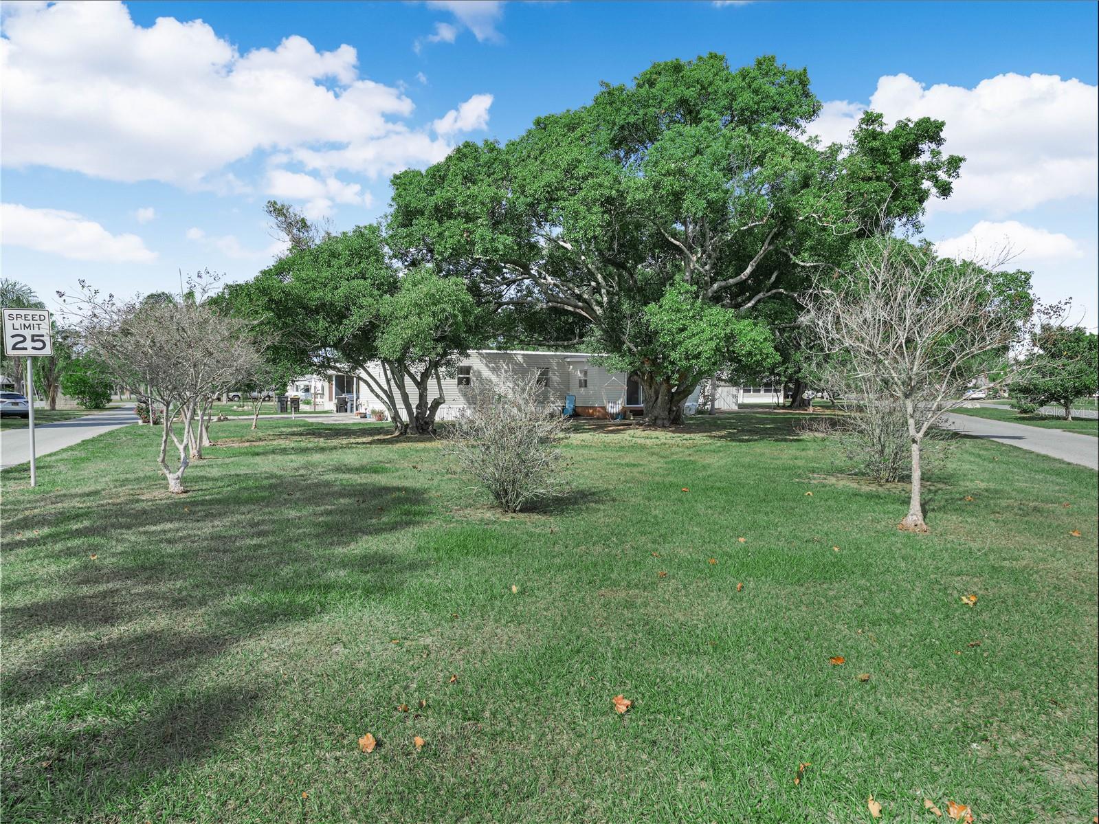 Image 31 of 41 For 319 1st Avenue N