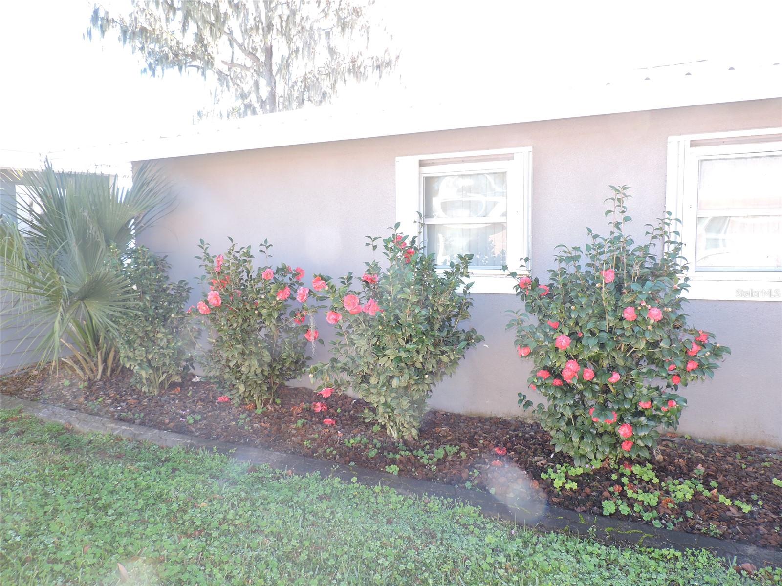 Image 52 of 89 For 5312 Lakeside Drive