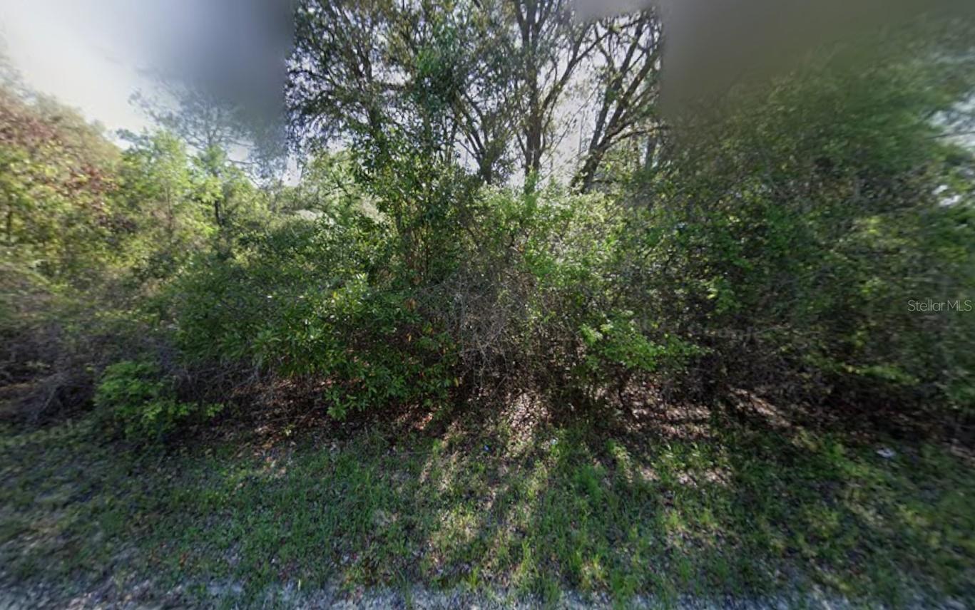 Details for 799th Street, OLD TOWN, FL 32680